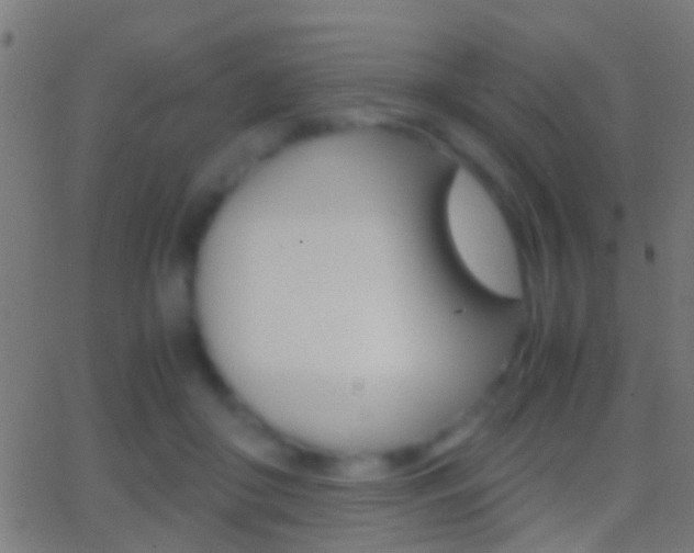 X0000062870410200601131016