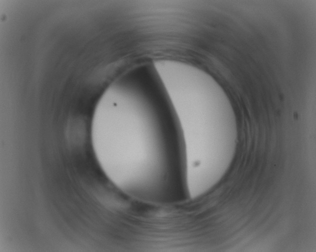 X0000062870412200601131016