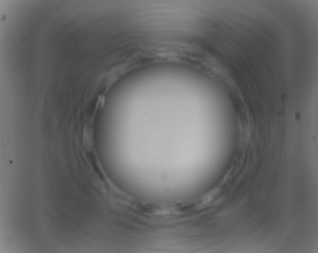 X0000062870415200601131016