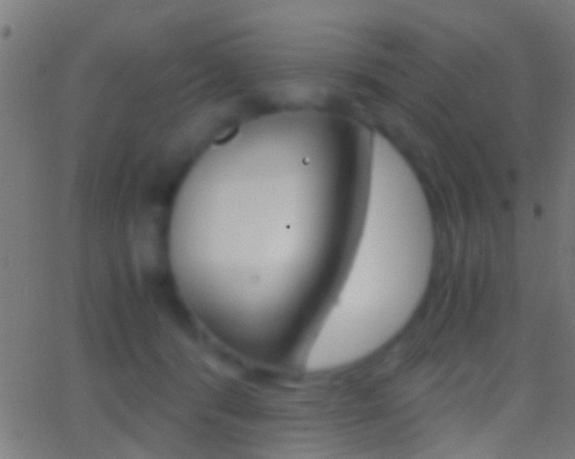 X0000062870416200601131016