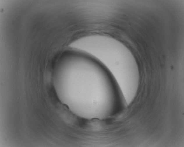 X0000062870417200601131016