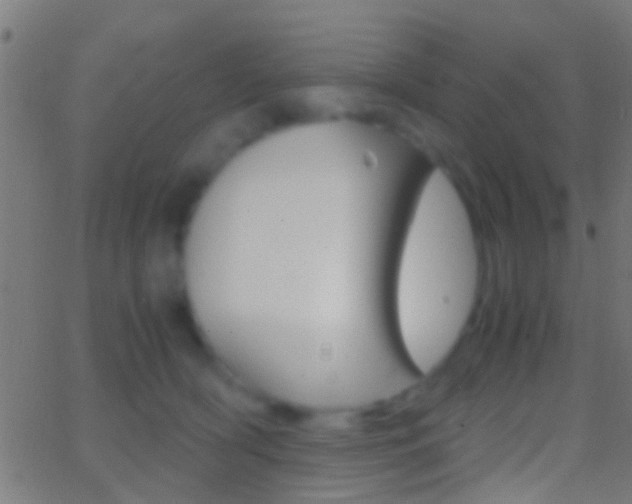 X0000062870418200601131016