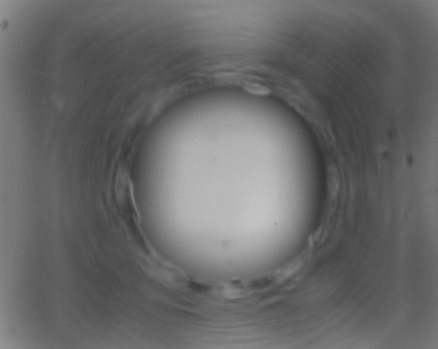 X0000062870419200601131016