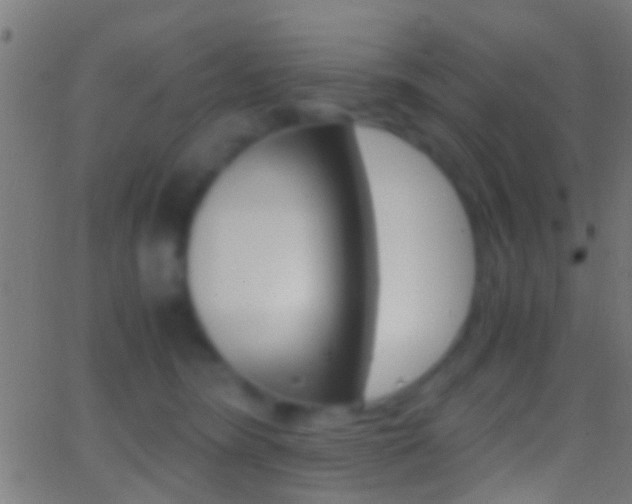 X0000062870420200601131016