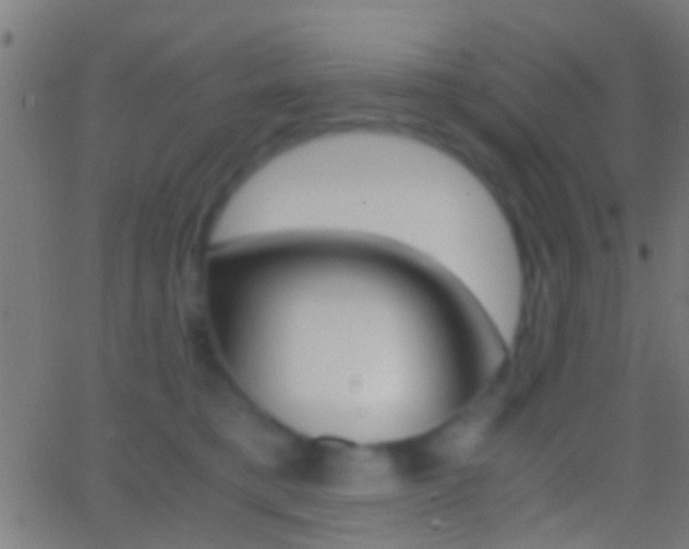 X0000062870421200601131016