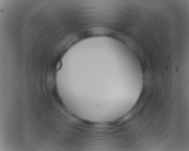 X0000062870422200601131016