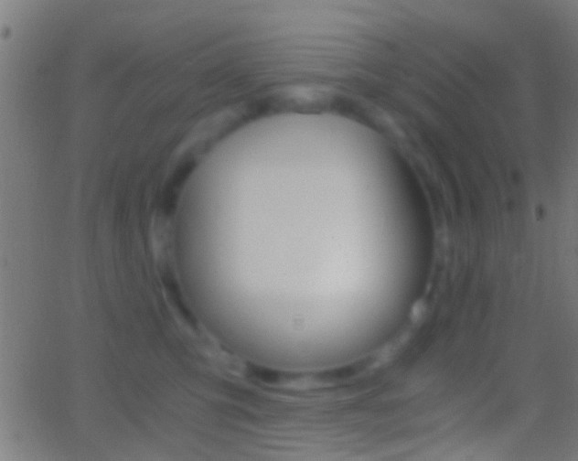 X0000062870423200601131016