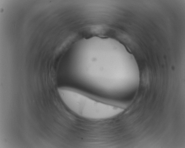 X0000062870424200601131016