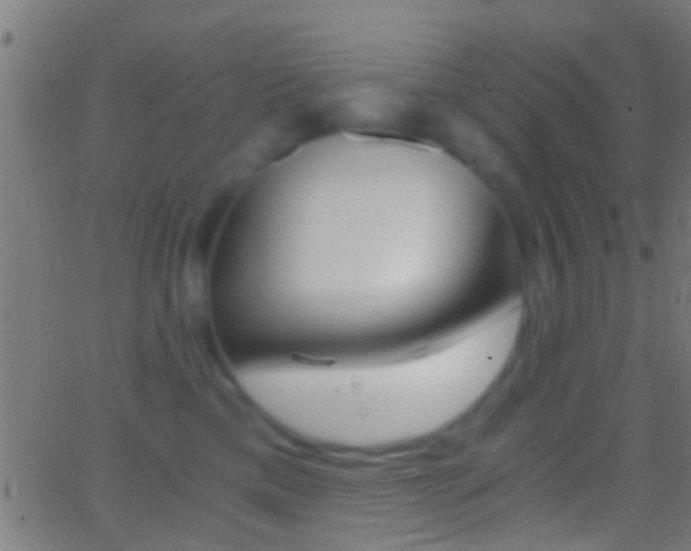 X0000062870425200601131016