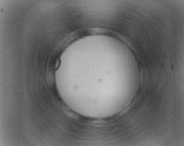 X0000062870426200601131016