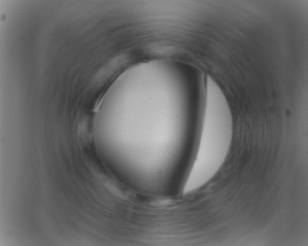 X0000062870428200601131015