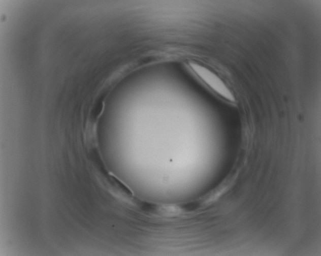 X0000062870429200601131015