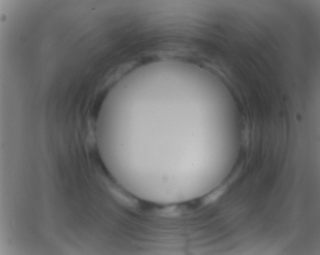 X0000062870430200601131015