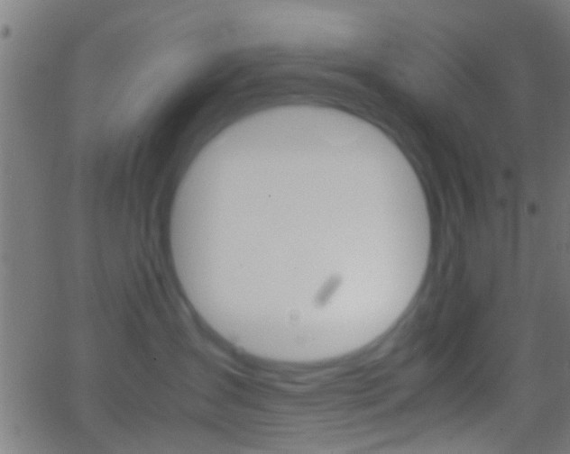 X0000062870431200601131015