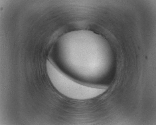 X0000062870432200601131015