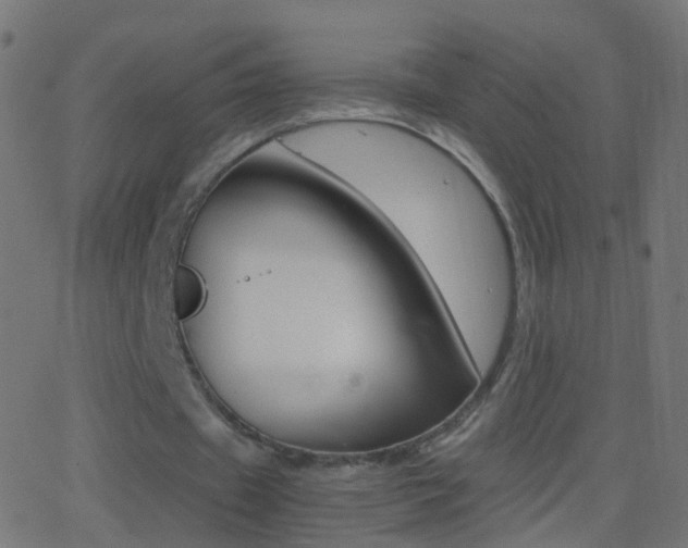 X0000062870433200601131015