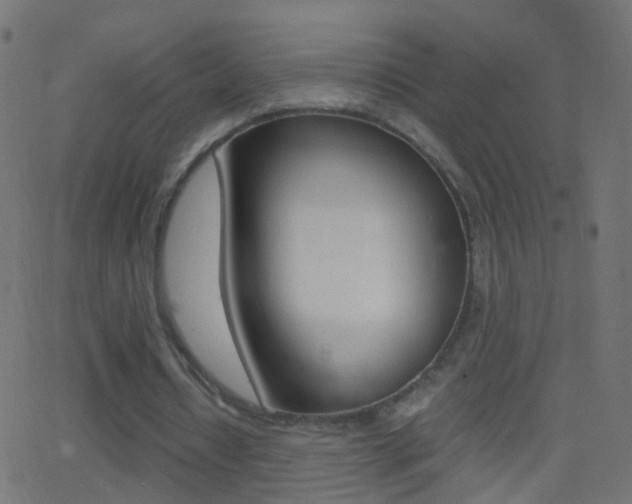 X0000062870434200601131015