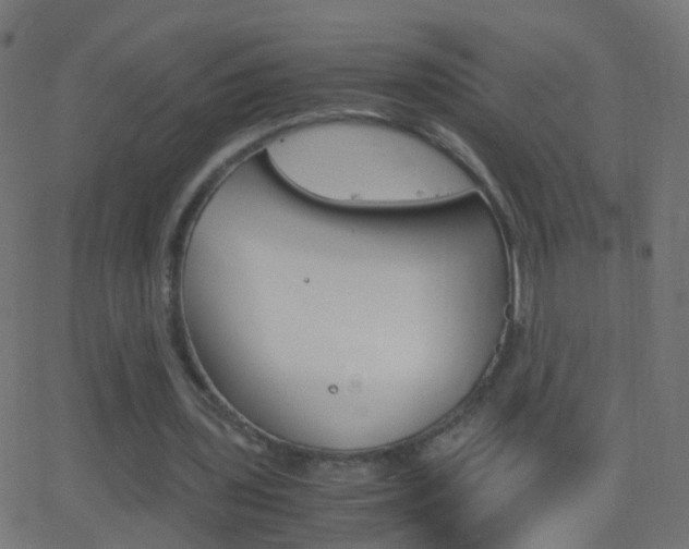 X0000062870435200601131015