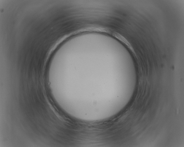 X0000062870436200601131015