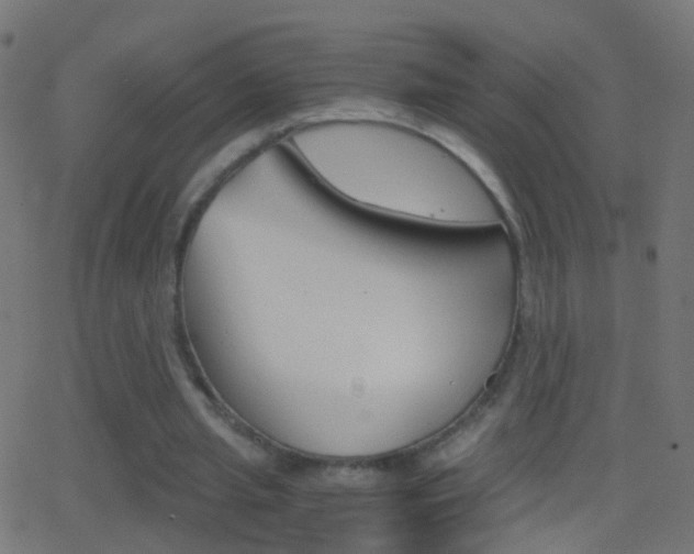 X0000062870437200601131015