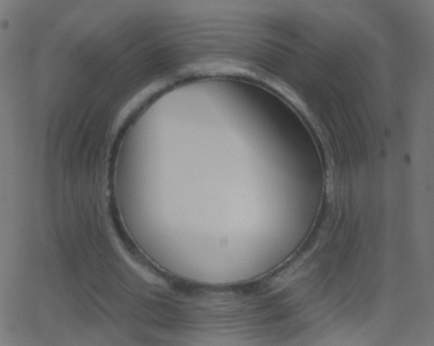 X0000062870438200601131015