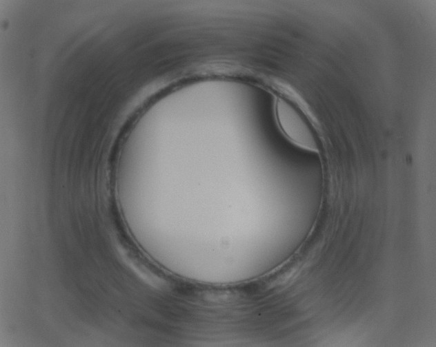 X0000062870439200601131015