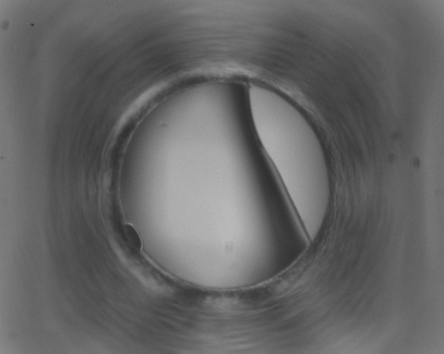 X0000062870440200601131015