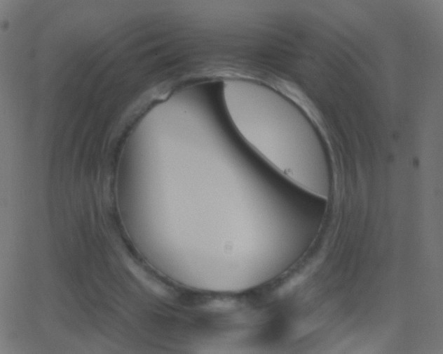 X0000062870441200601131015