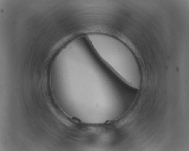 X0000062870442200601131015