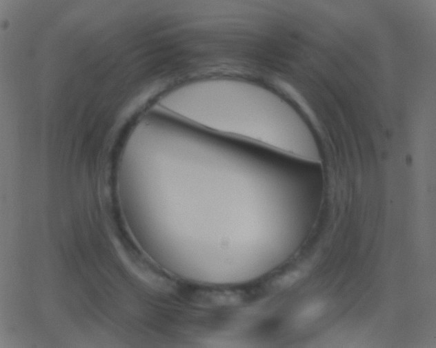 X0000062870443200601131015