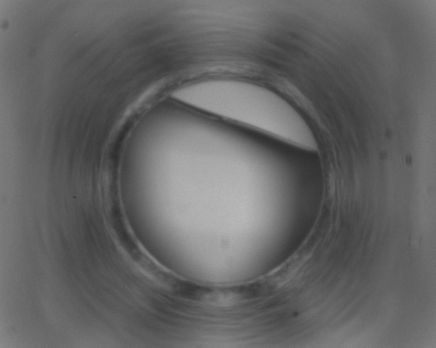 X0000062870444200601131015