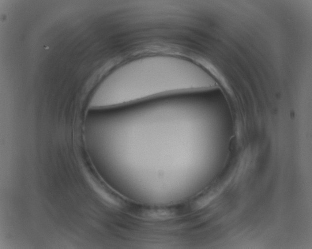 X0000062870445200601131015