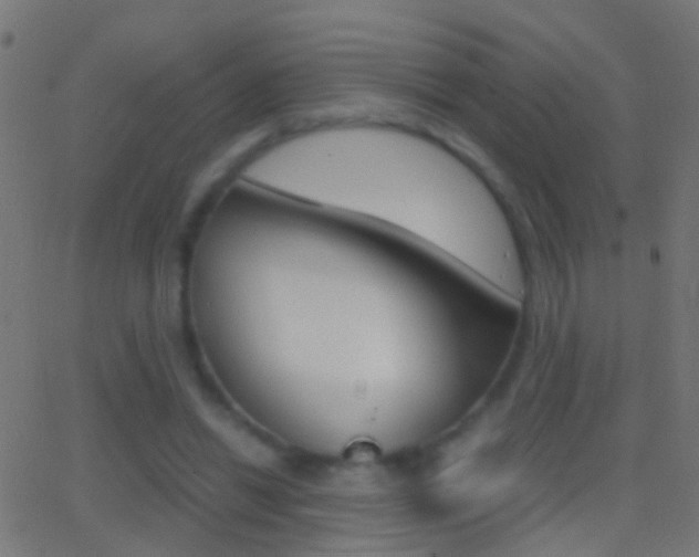 X0000062870446200601131015