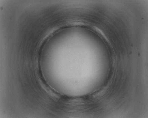 X0000062870447200601131015