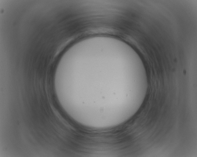 X0000062870448200601131015