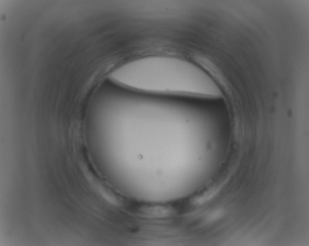 X0000062870449200601131015