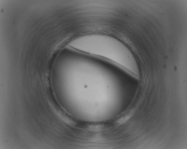 X0000062870450200601131015