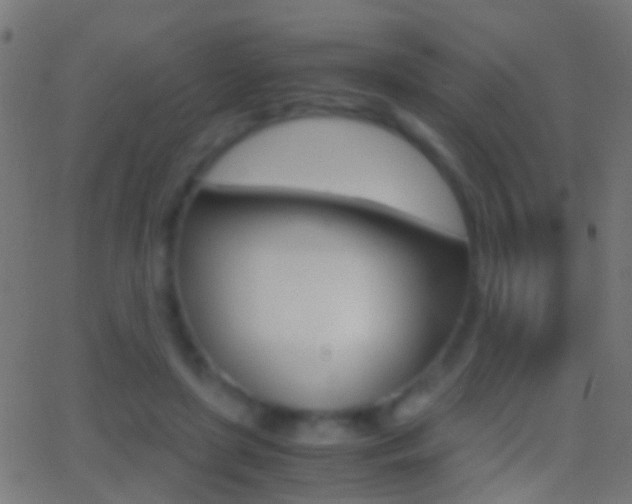 X0000062870451200601131015