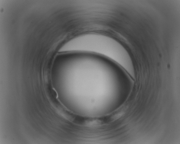 X0000062870452200601131015