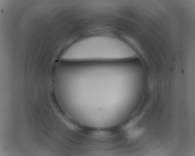 X0000062870453200601131015