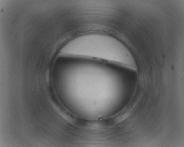 X0000062870454200601131015