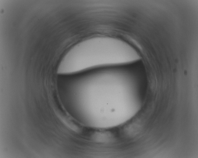 X0000062870455200601131015