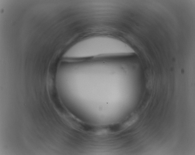 X0000062870456200601131015