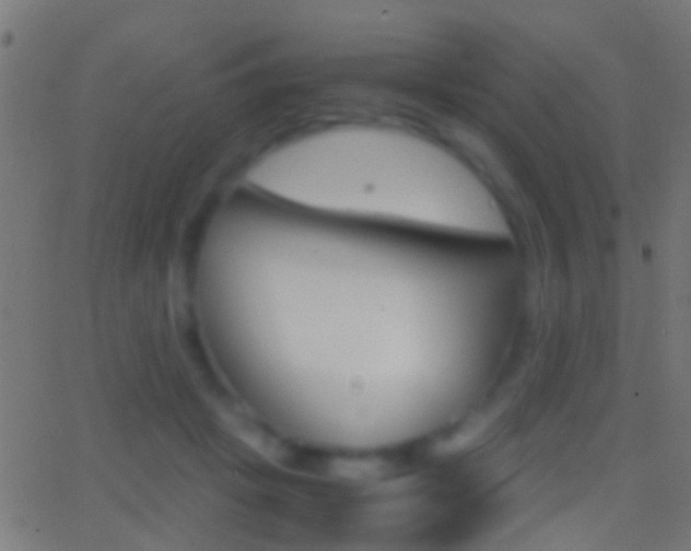 X0000062870457200601131015