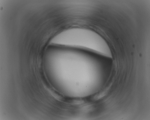 X0000062870458200601131015