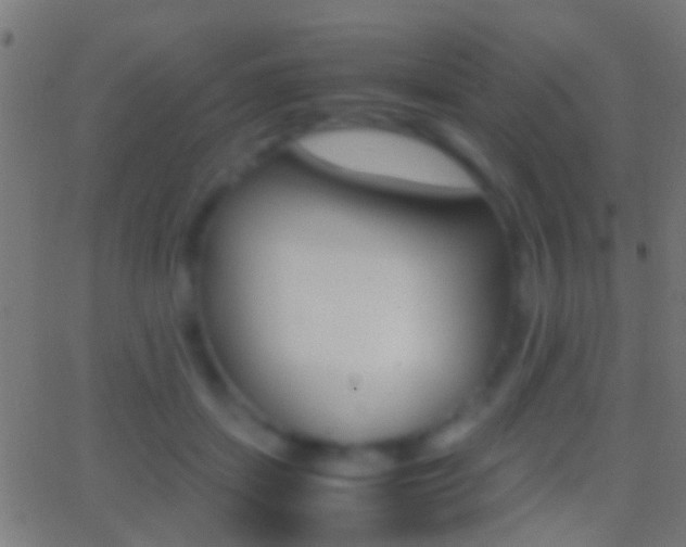 X0000062870459200601131015