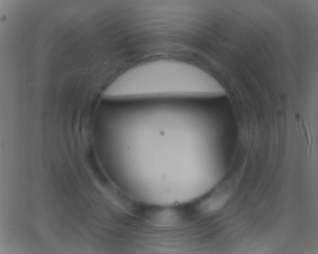 X0000062870460200601131015