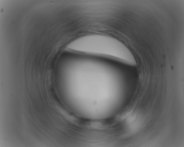 X0000062870462200601131015