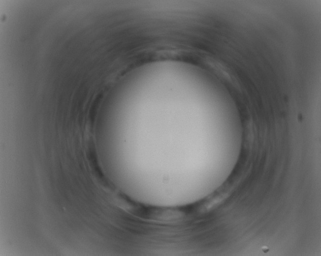 X0000062870463200601131015