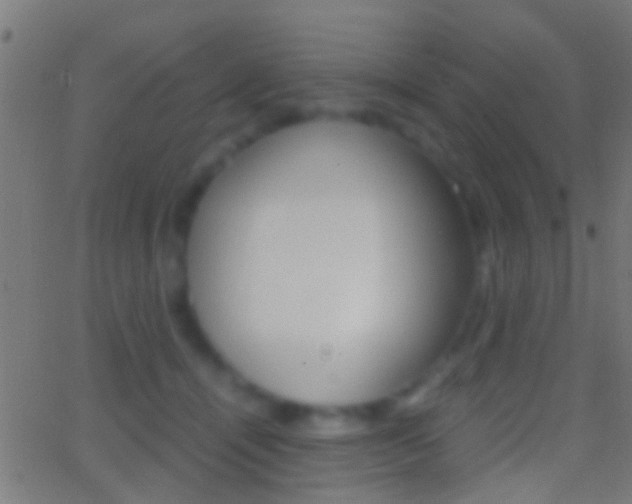 X0000062870464200601131015